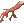 Galho Sangrento