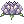 Flor de Moscóvia
