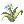 Flor de Alfheim