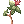 Makulrata