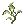 Celatom