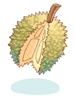 Fruta Espinhosa
