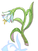 Flor de Alfheim