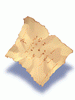 Burnt Pieces Of Paper